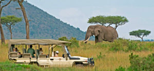 Kenya safari dubai fam trip