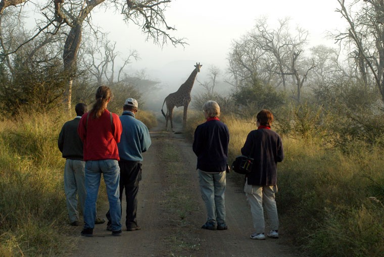 swaziland eswatini safari walk