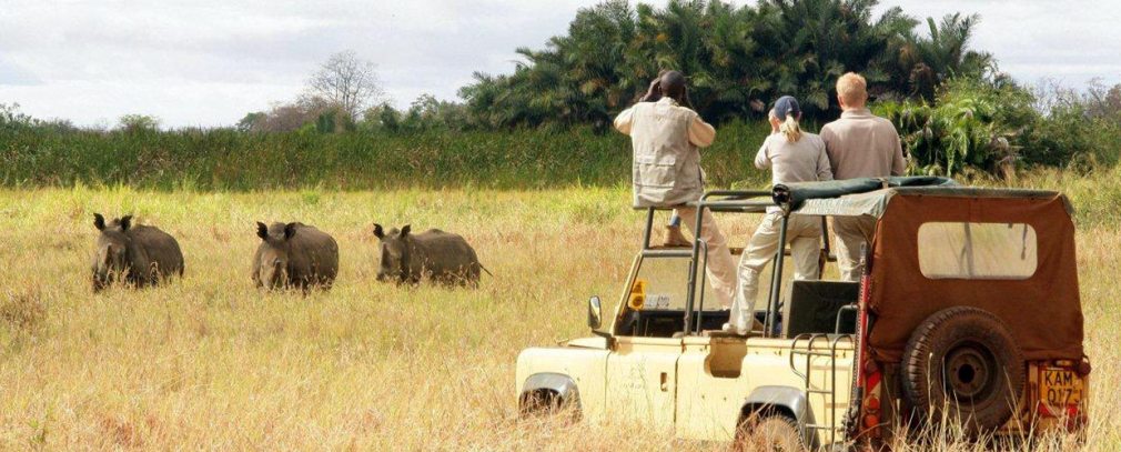 Uganda wildlife safari