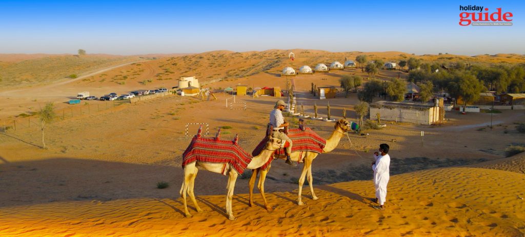 Dunes Camping and Safari  camel