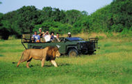 Tourism Industry in Africa: Attracting Increasing Number of Tourists from the Middle East