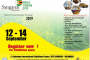 Sanganai / Hlanganani World Tourism Expo: Premier Event Promoting Africa's Tourism Industry