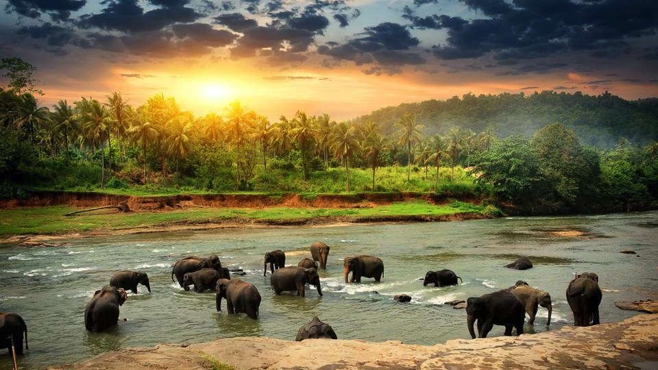 Sri Lanka Waives Visa Fees to Attract More Tourists