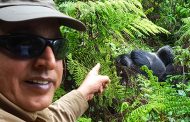 Gorilla Trekking in East Africa