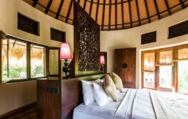 Sen Wellness Sanctuary: A Soulful Oasis in Nature's Embrace